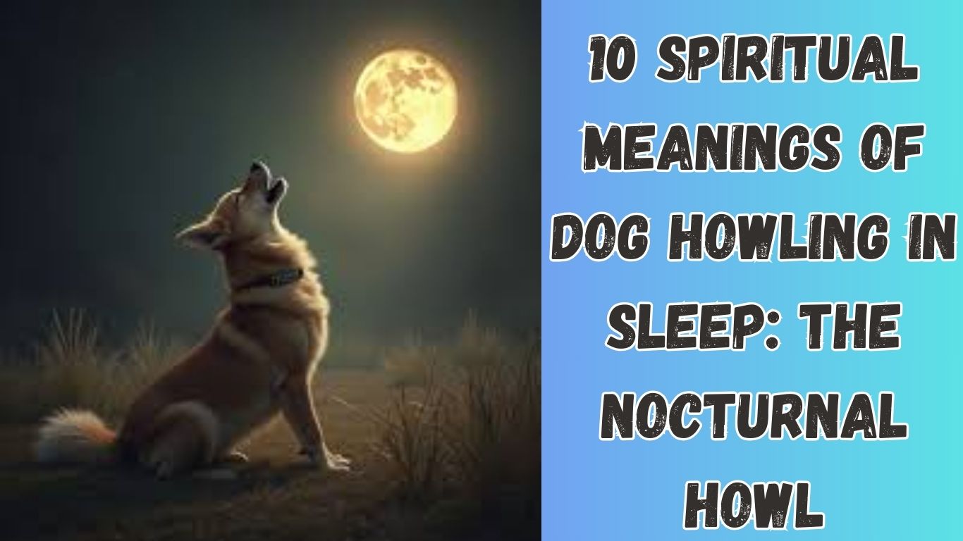 10 Spiritual Meanings of Dog Howling in Sleep: The Nocturnal Howl