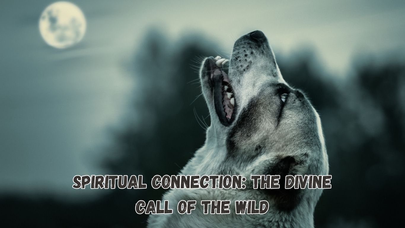 Spiritual Connection: The Divine Call of the Wild