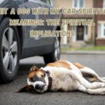 I Hit a Dog With My Car Spiritual Meanings: The Spiritual Implications