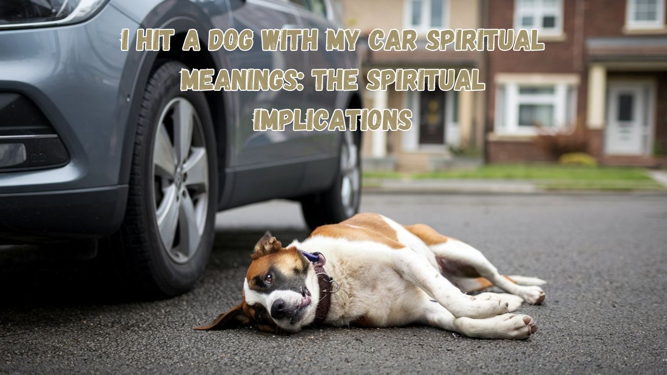 I Hit a Dog With My Car Spiritual Meanings: The Spiritual Implications