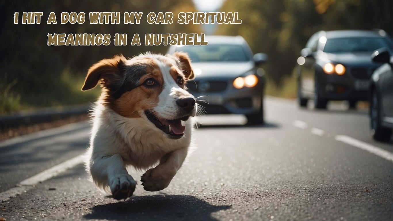 I Hit a Dog With My Car Spiritual Meanings In a Nutshell