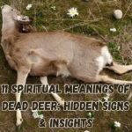 11 Spiritual Meanings of Dead Deer: Hidden Signs & Insights